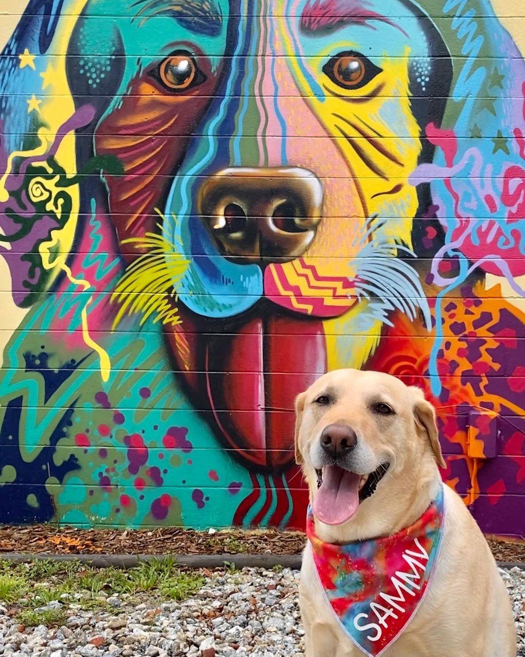 Insta-Famous Murals Across the U.S. to Visit With Your Dog