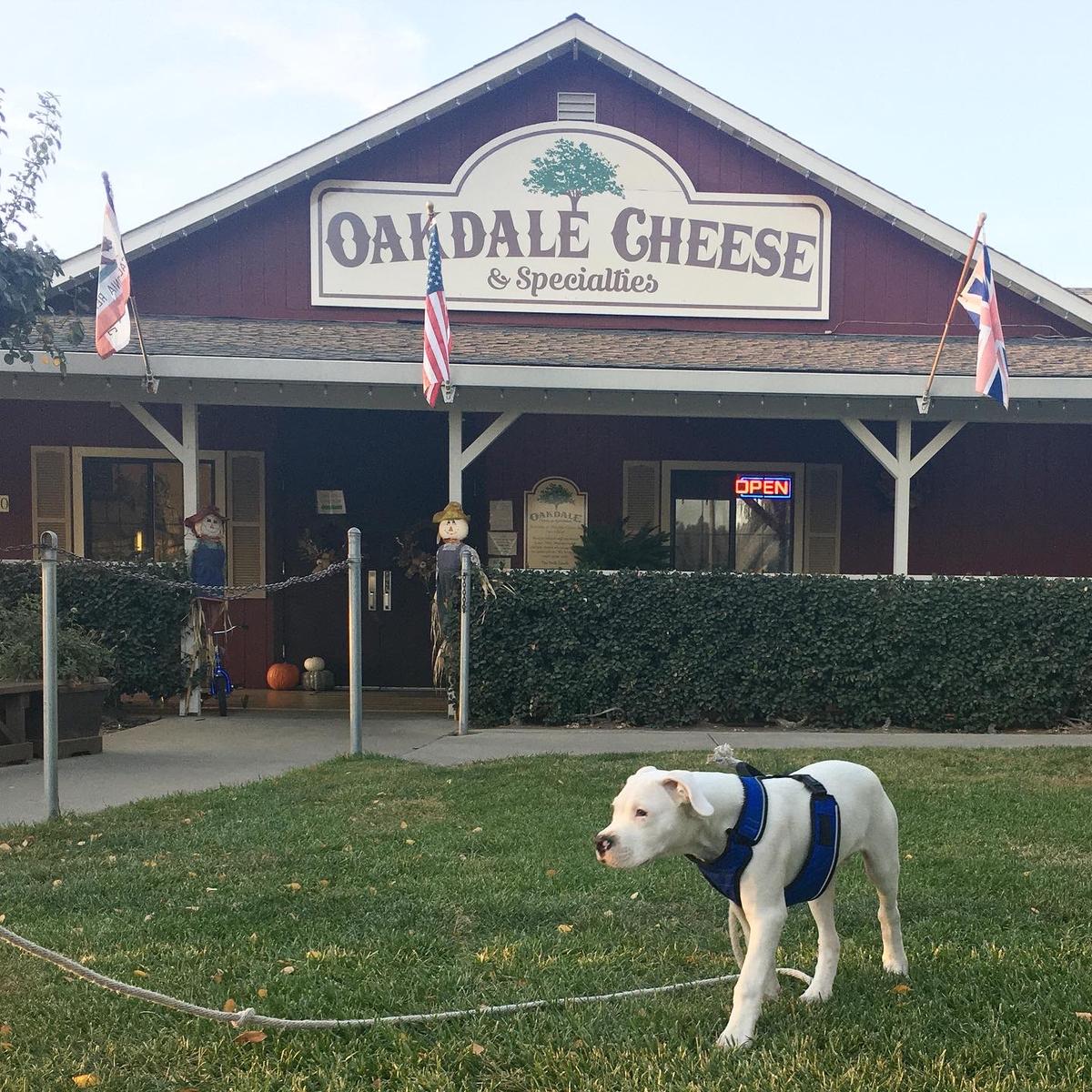 Oakdale Cheese & Specialties Is Pet Friendly