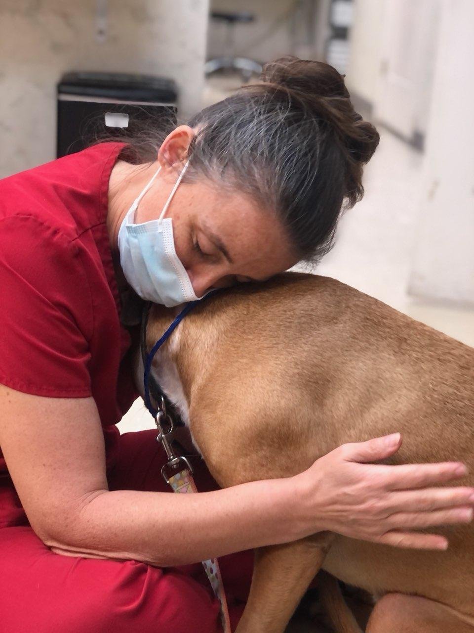 Compassionate Care Veterinary Hospital of Charlotte