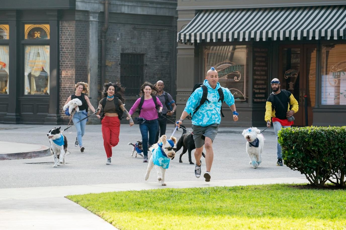 Amazon Prime Video "The Pack" Competition Series