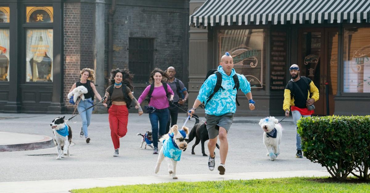 Follow "The Pack" to 9 Pet-friendly Destinations Around the World