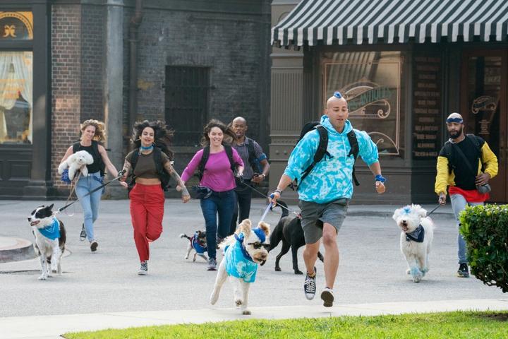 Amazon Prime Video "The Pack" Competition Series