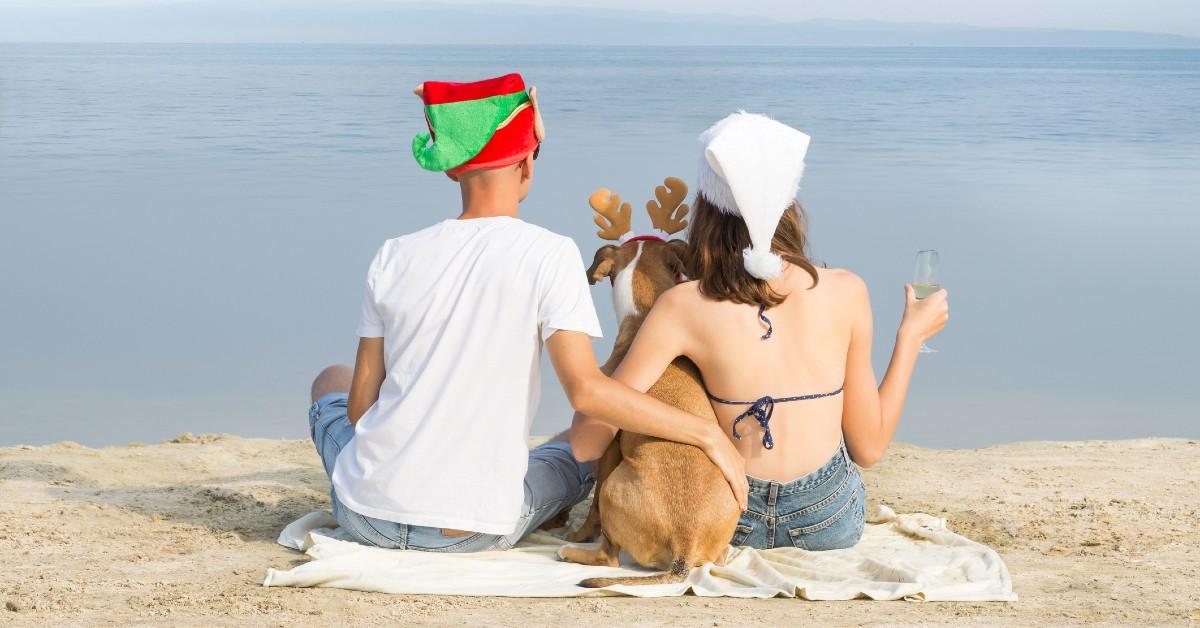 How to Travel Safely With Fido This "Howliday" Season