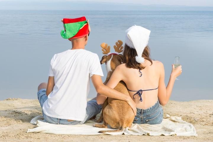 How to Travel Safely With Fido This "Howliday" Season