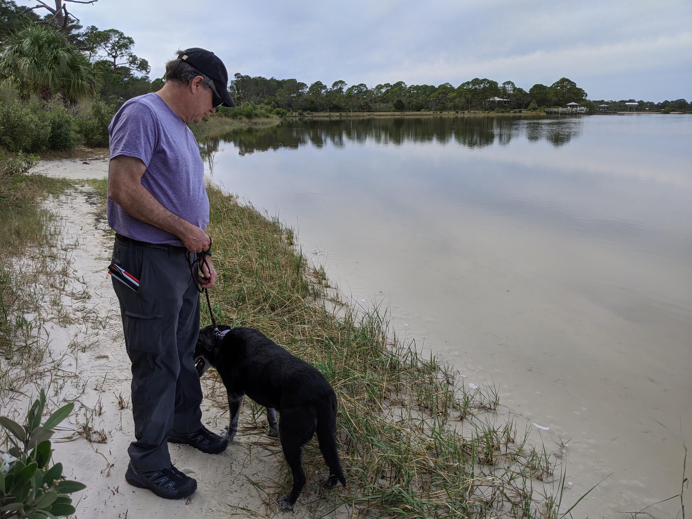 Dog Friendly Hiking Trails in Cedar Key, FL BringFido