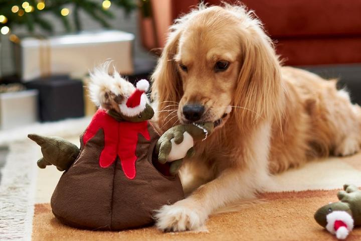 8 Holiday Gifts for Good Boys and Girls in 2020 8 Holiday Gifts for Good Boys and Girls in 2020