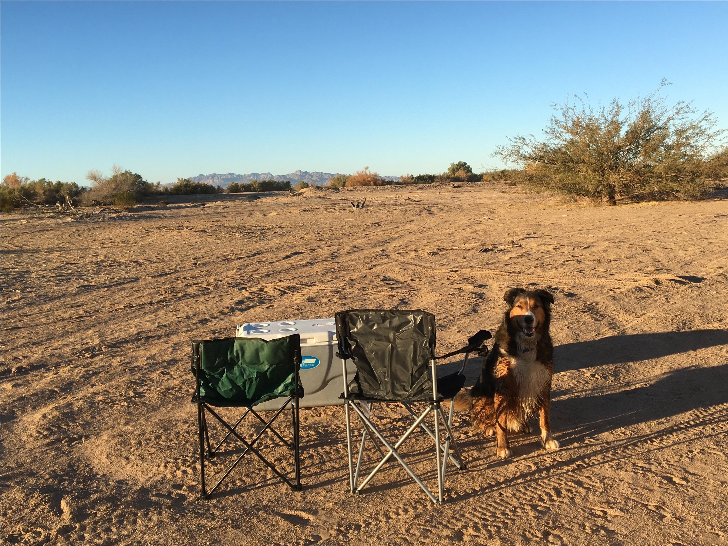Photo of Oxbow BLM Campground