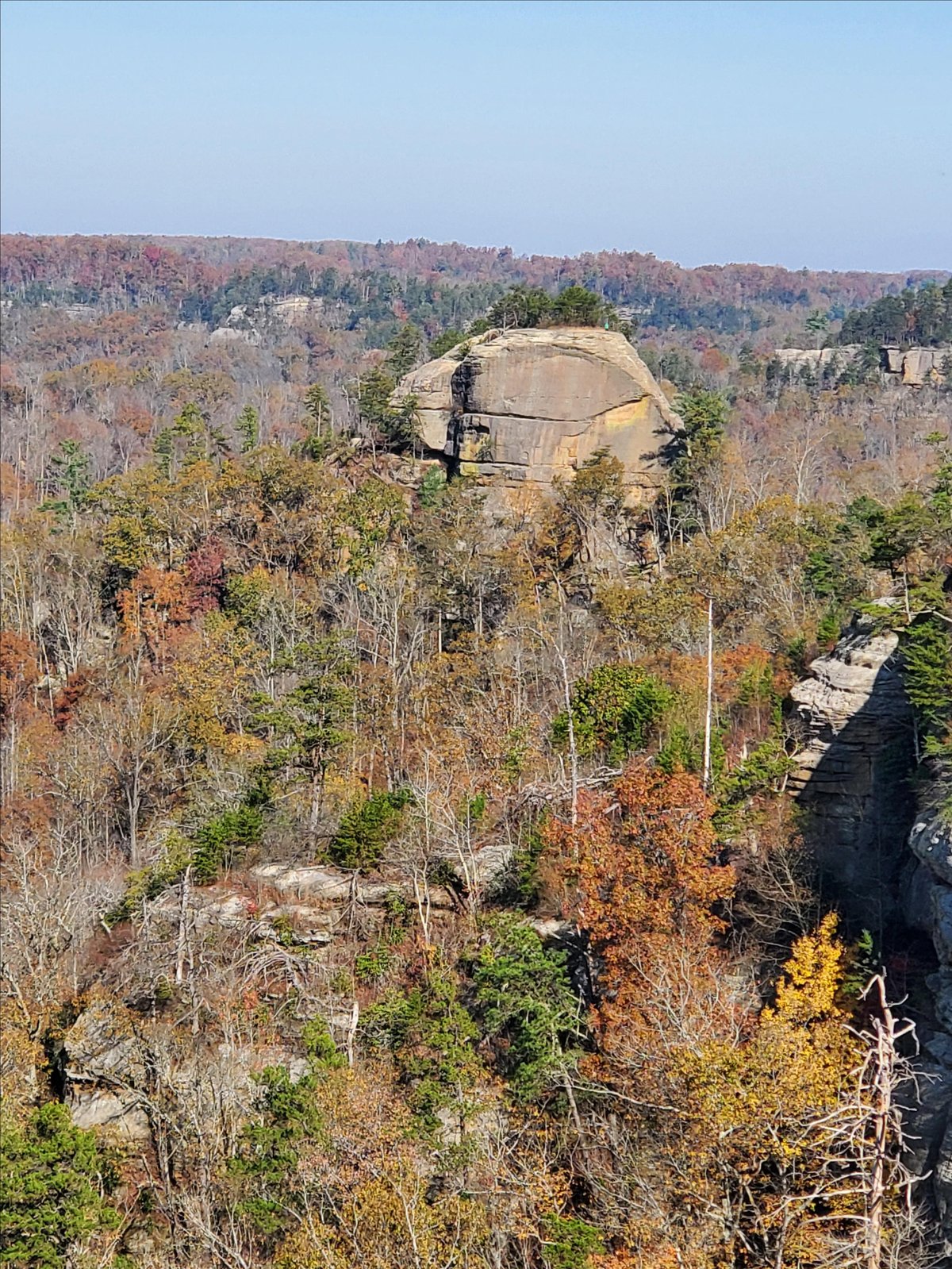 A view from dog-friendly trail Auxier Ridge Trailhead, located in Stanton, KY.