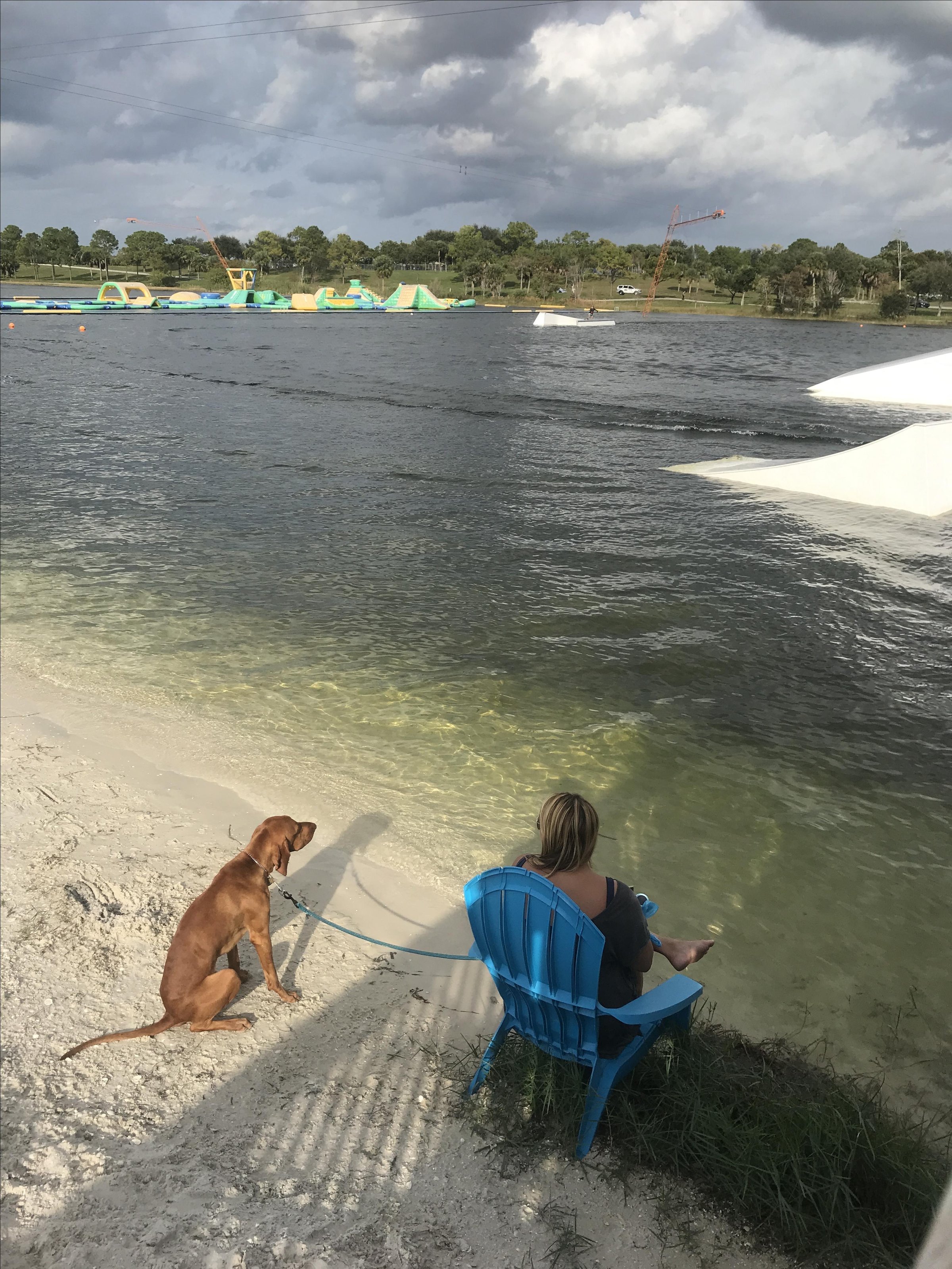Pet Friendly Shark Wake Park 561