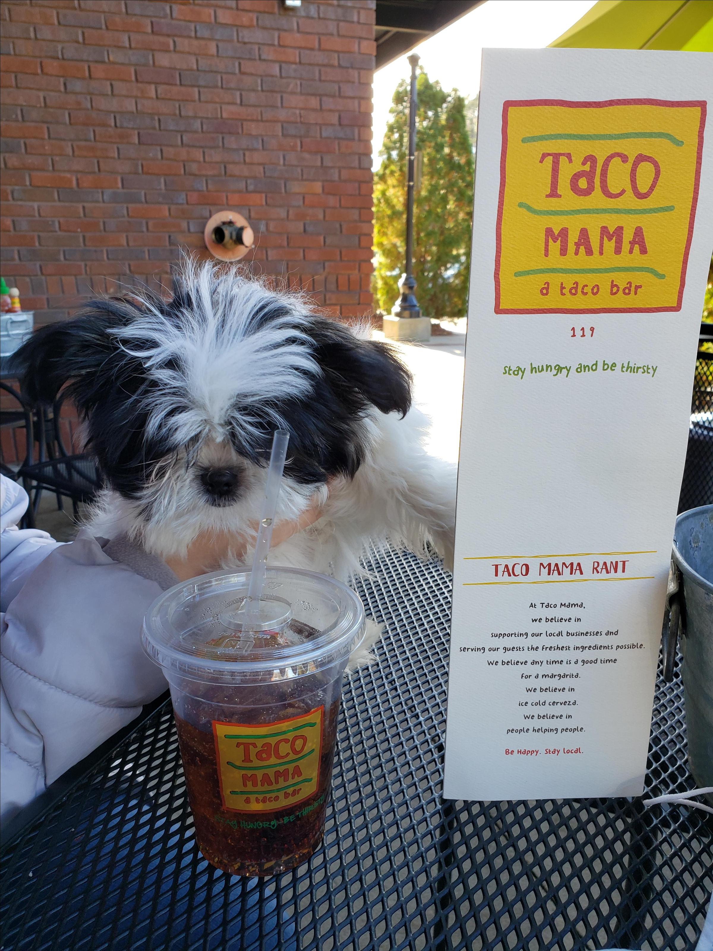 Pet Friendly Taco Mama - 119 Birmingham