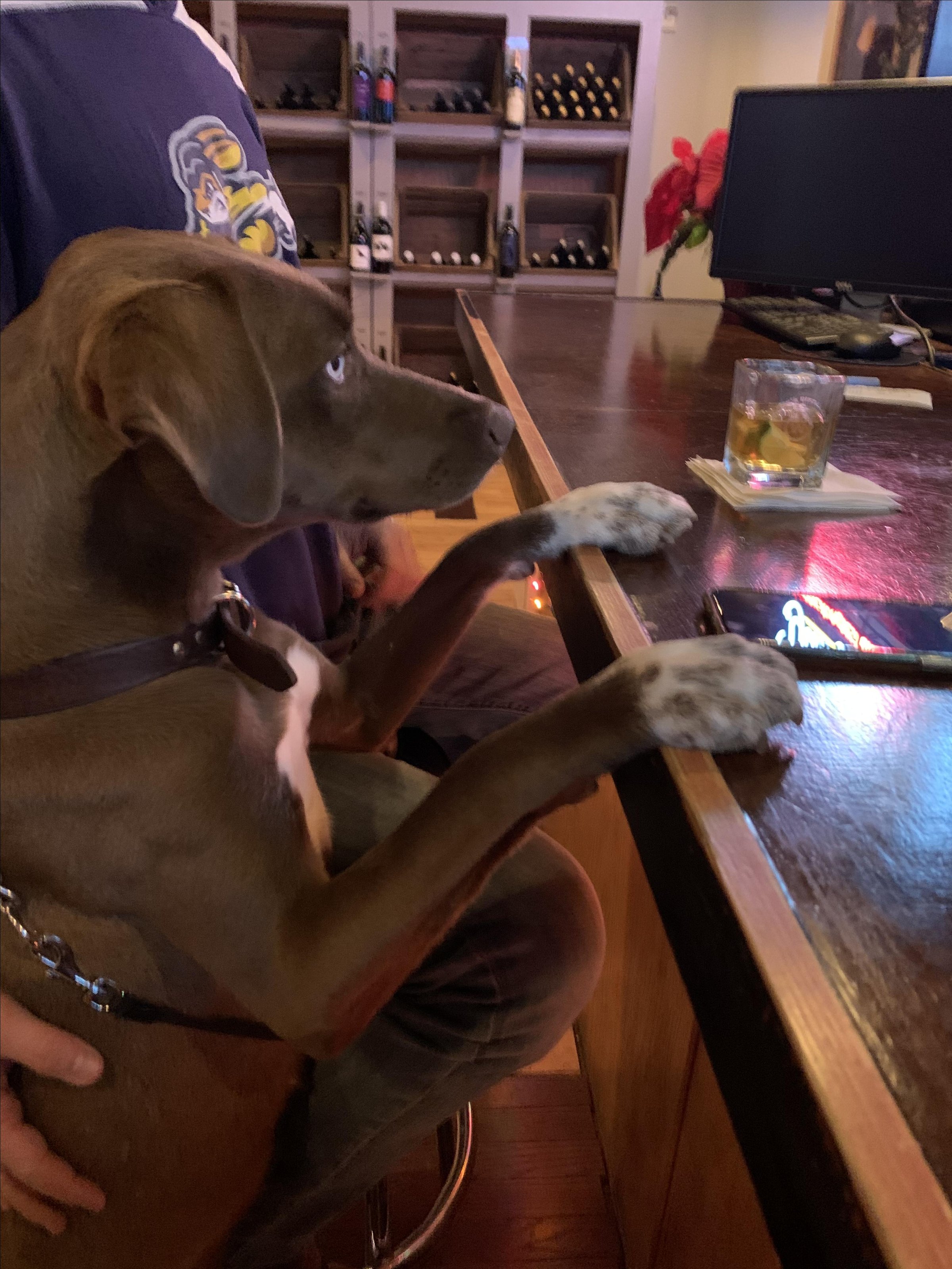 Photo of Cork & Tap
