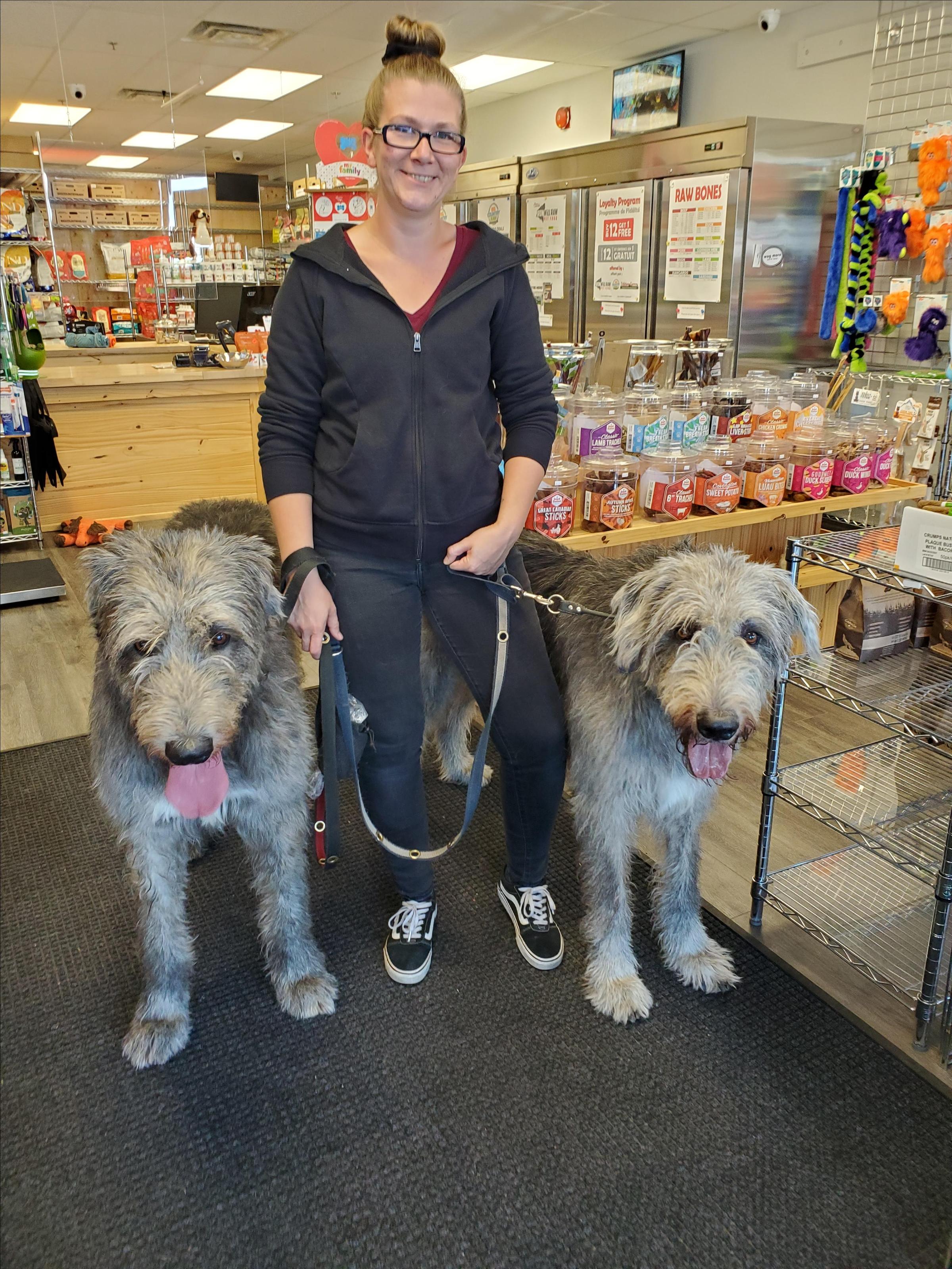 Pet Friendly Boutique Pattes d'Amour