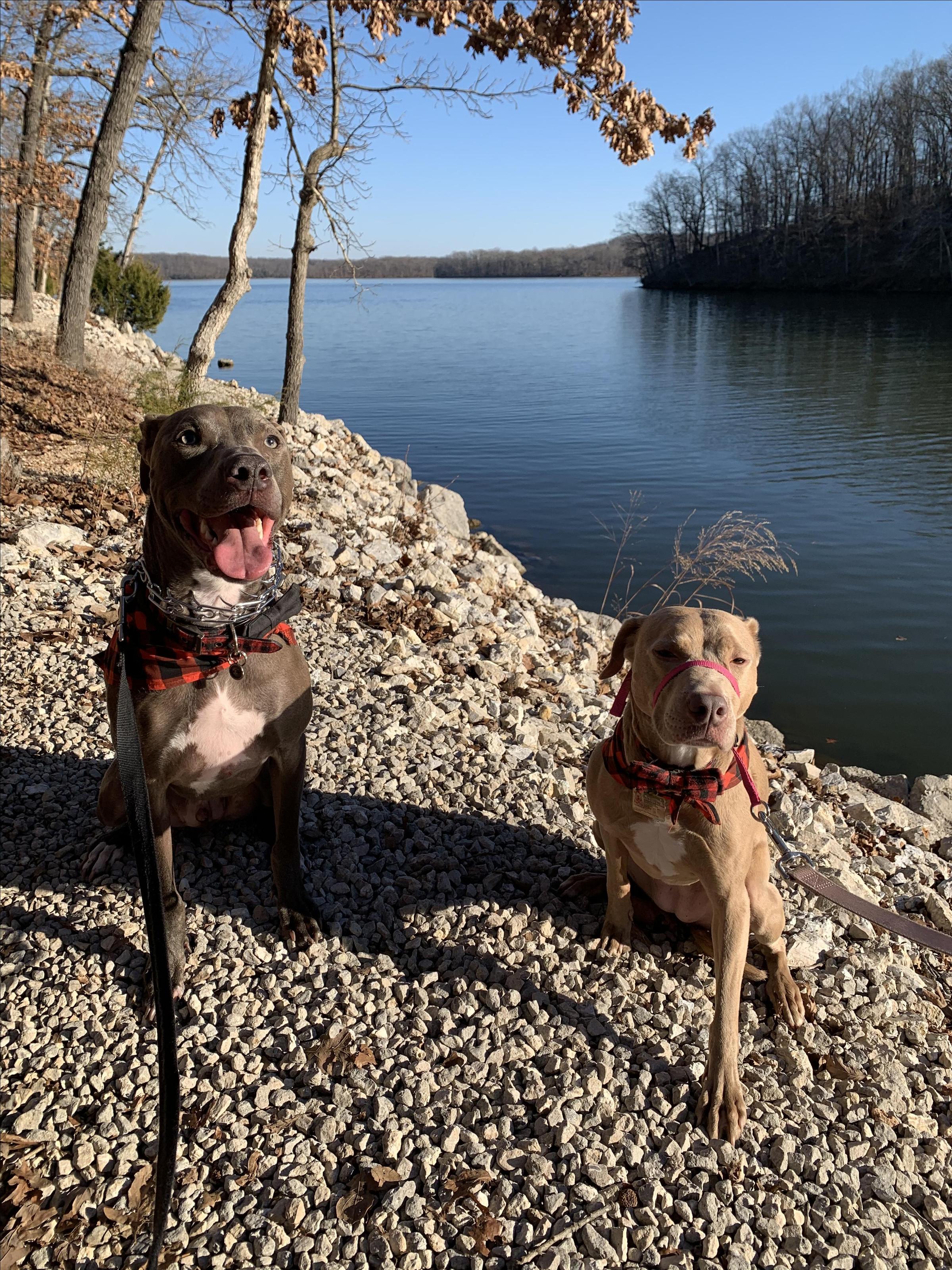 Pet Friendly Rocky Top Trail