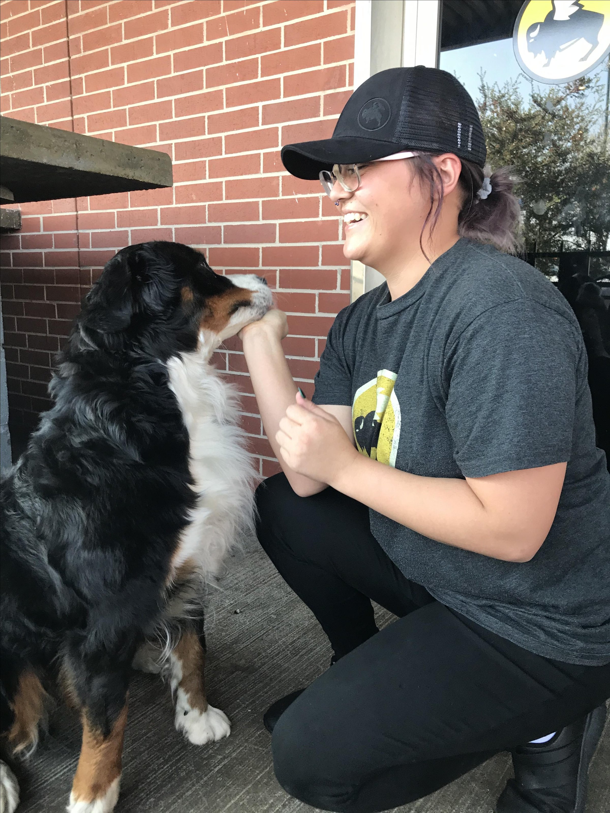 Pet Friendly Buffalo Wild Wings