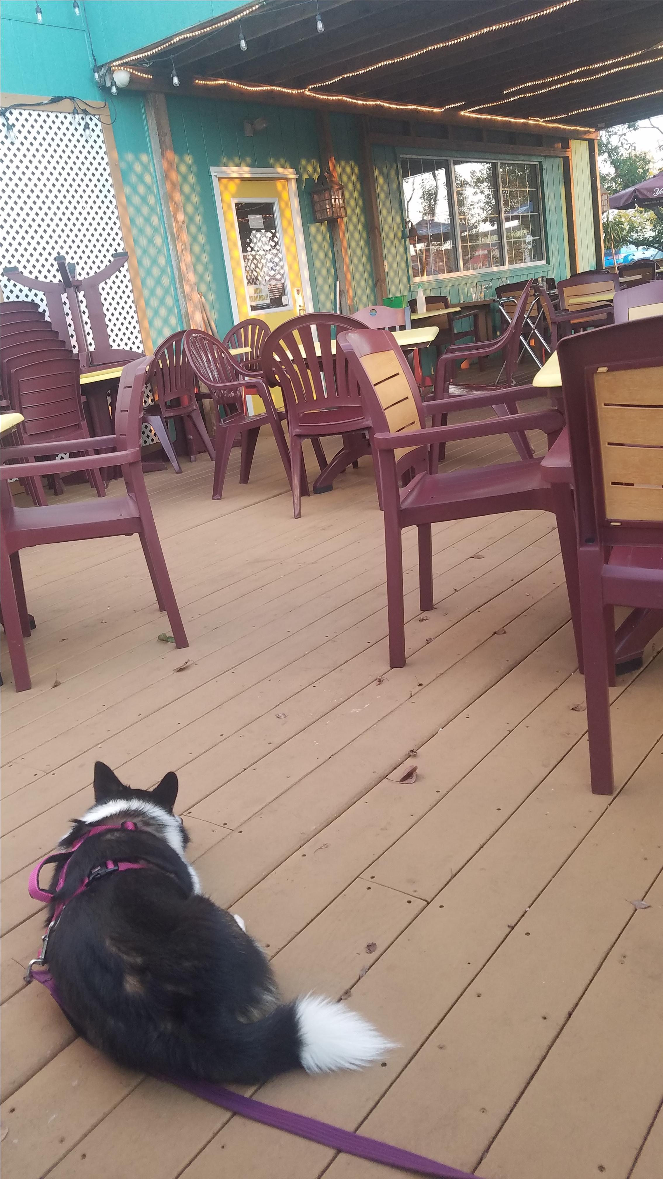 Bay City Seafood Restaurant
