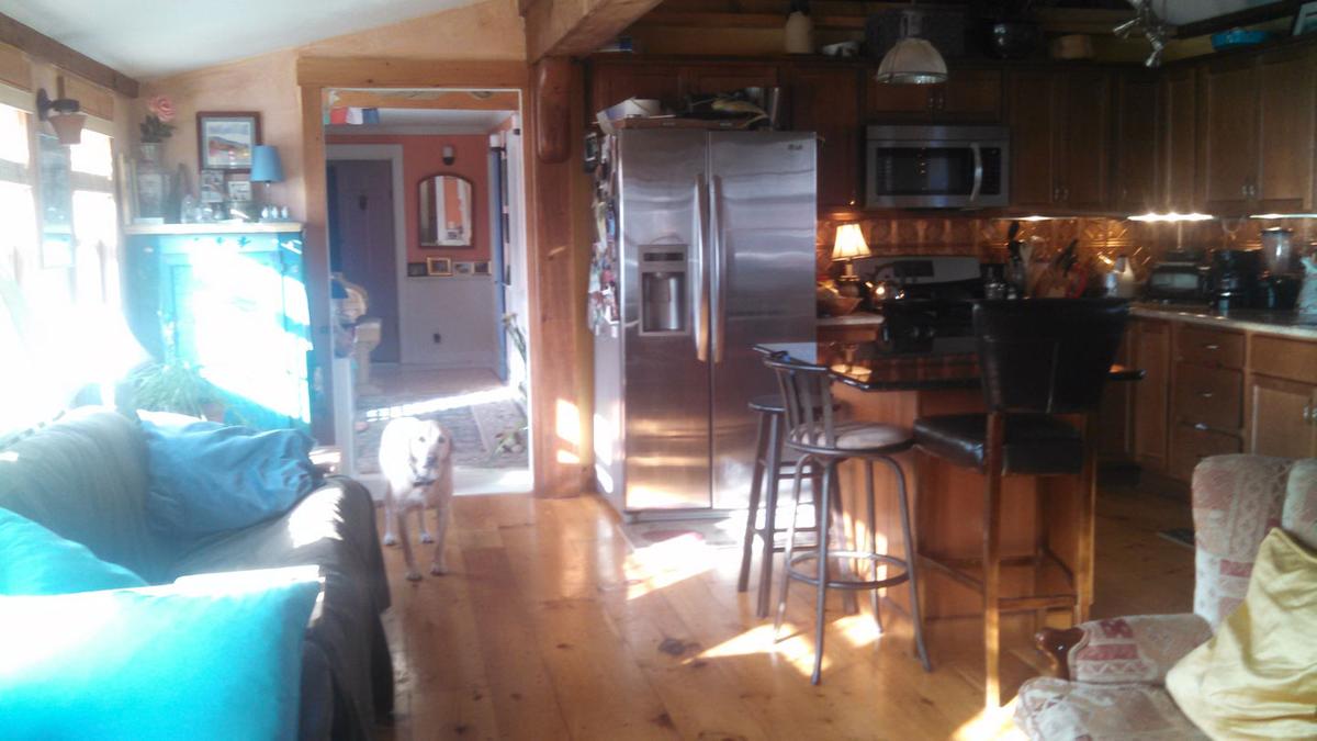 Turn of Century Mill House Pet Policy