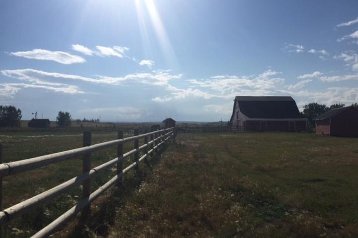 Pet Friendly Vacation Rentals In High River Ab Bring Fido
