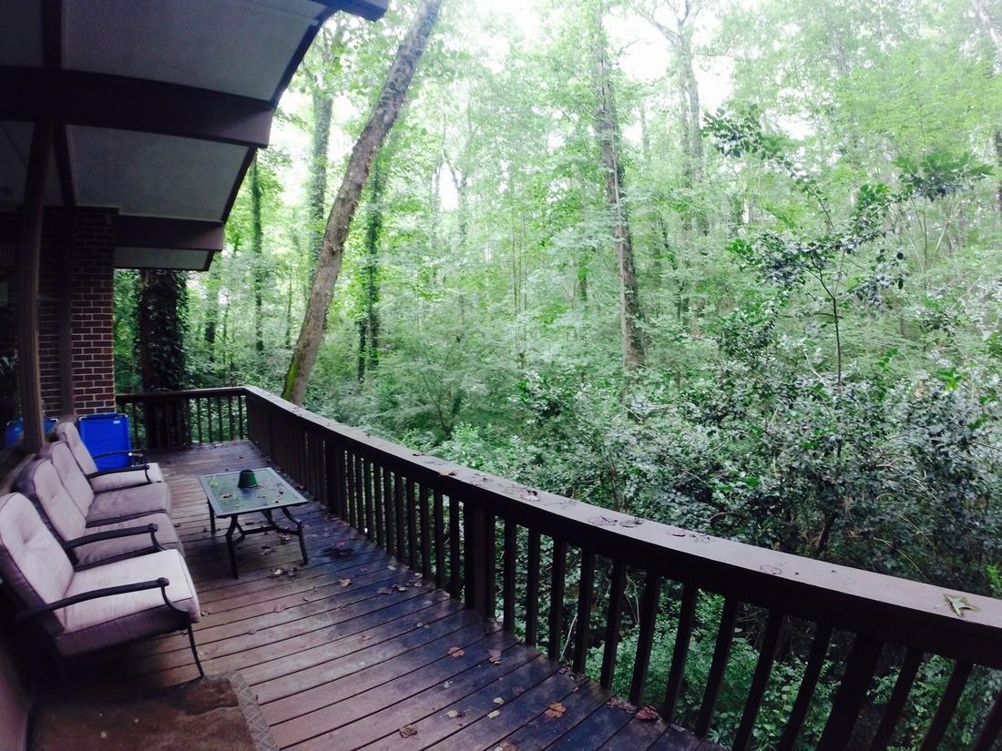 Cabin Style Home Near Clemson Pet Policy