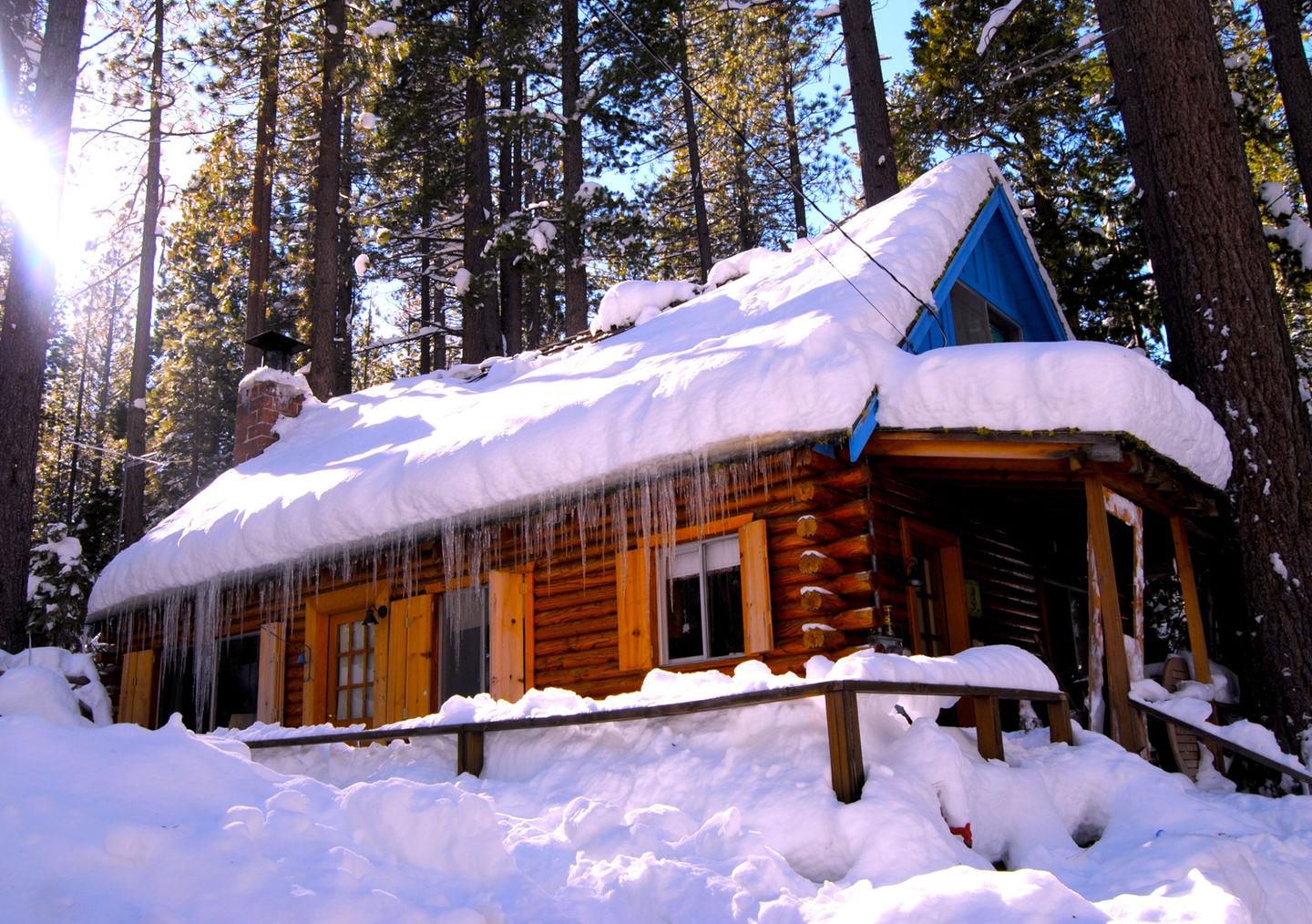 Lake Tahoe Log Cabin Beach Access Pet Policy