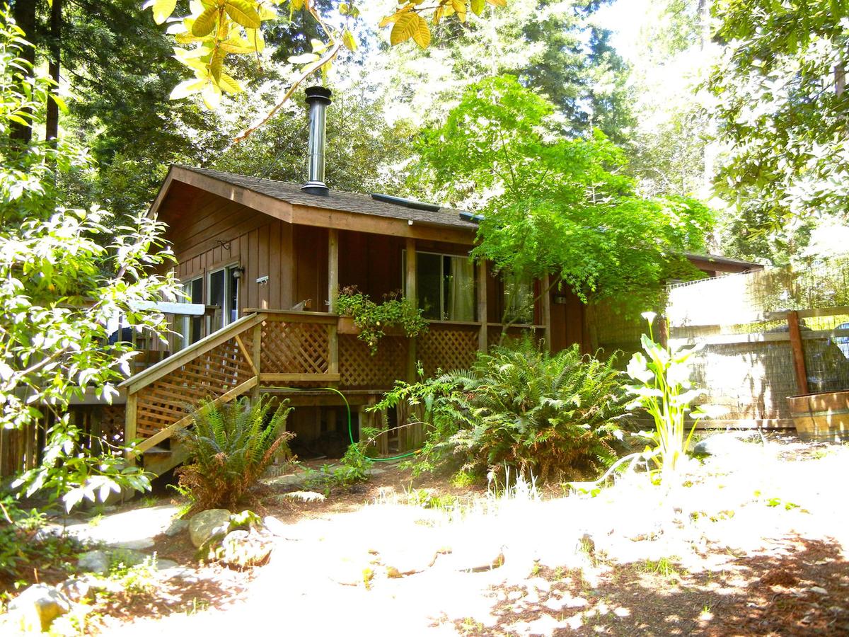 gualala chat sites Gualala nursery and trading company began long ago as a dream of a young boy, tony ventrella at six, tony joined descanso gardens science discovery class . gualala chat sites Gualala nursery and trading company began long ago as a dream of a young boy, tony ventrella at six, tony joined descanso gardens science discovery class .