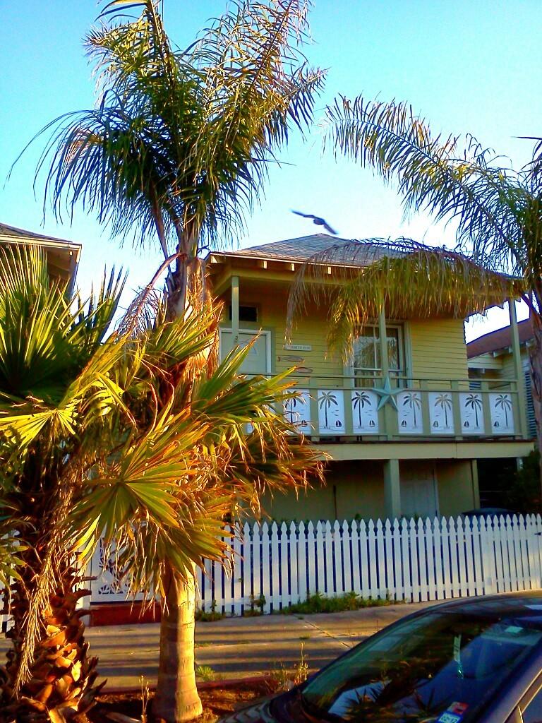 Galveston Vacation Rental House Noahs Ark Oceanfront