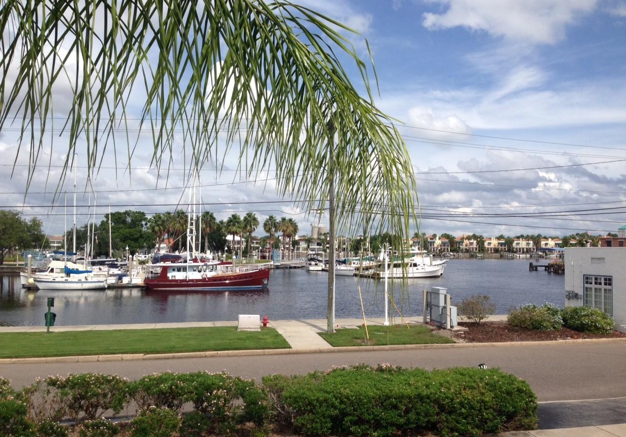 Davis Islands Vacation Rental Pet Policy