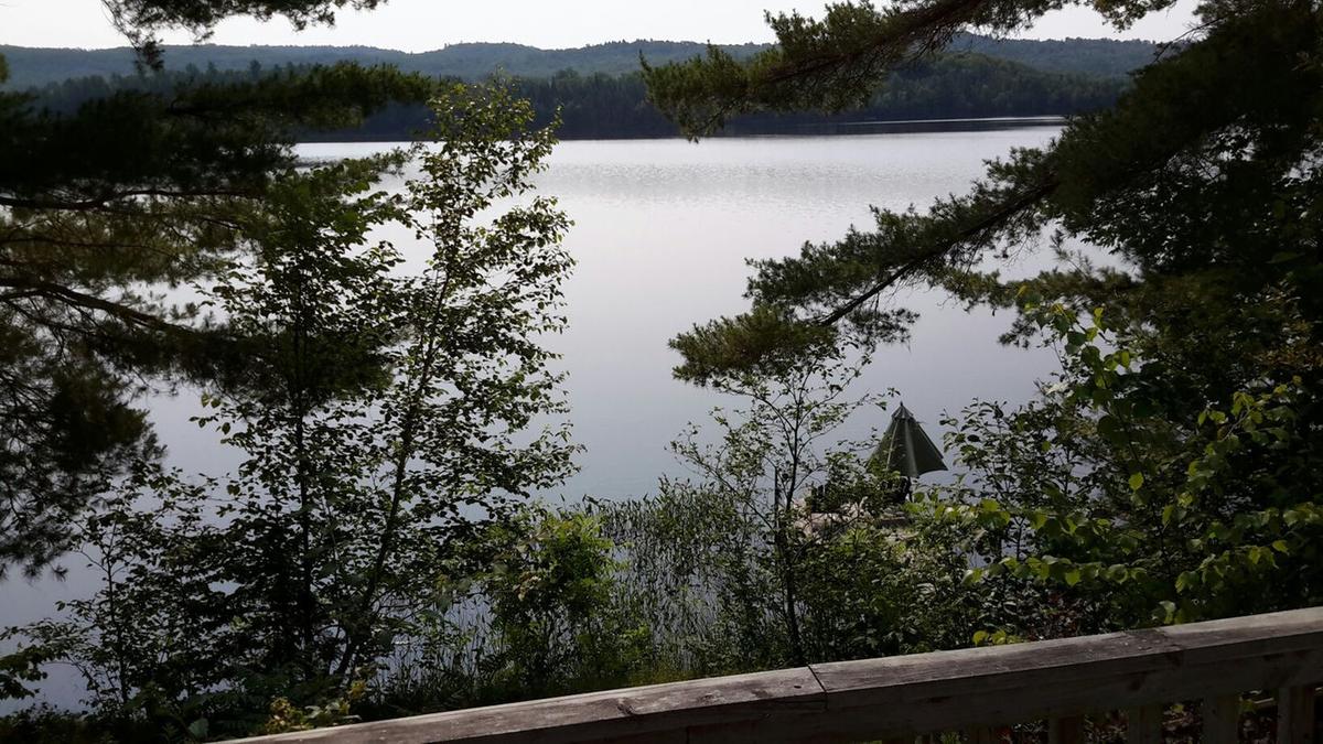 Lakefront Cottage Lanark Highlands Pet Policy