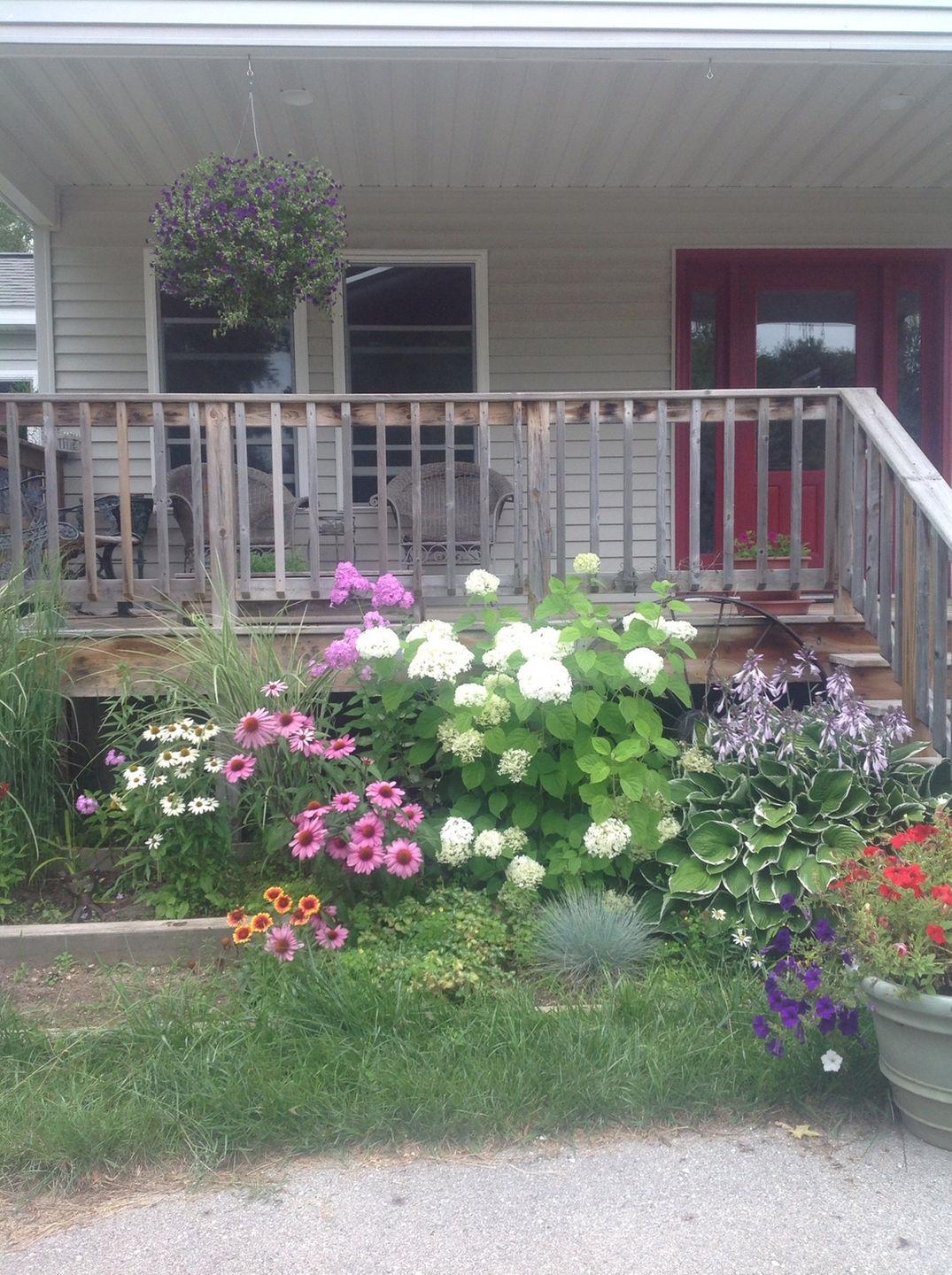 Homestead Cottage for color tourist Pet Policy