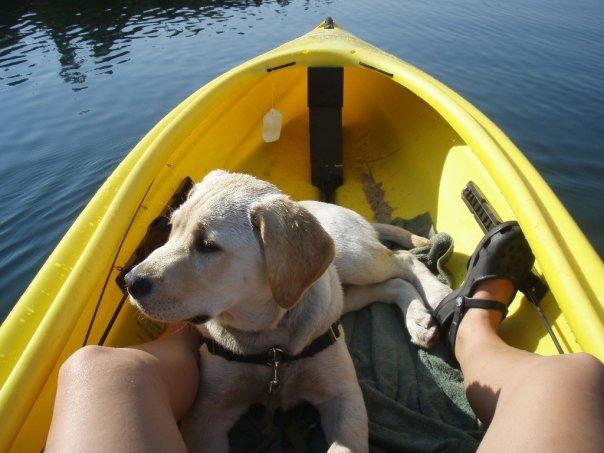 Pet Friendly Tahoe City Kayak