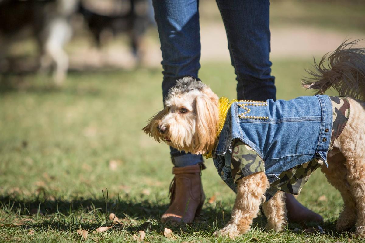 Columbia Dog Park