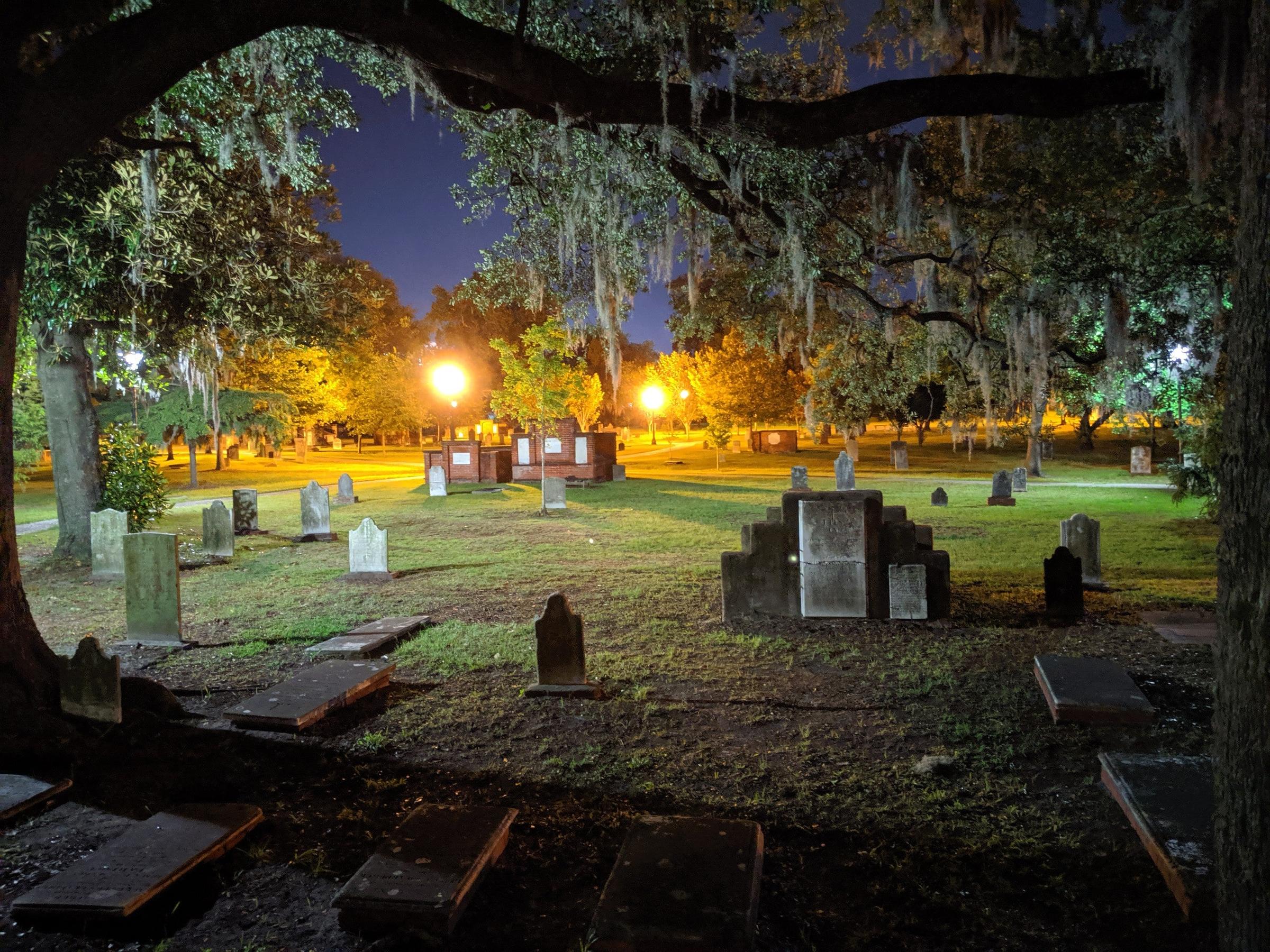 Dog Friendly Activities In Savannah Ga Bringfido