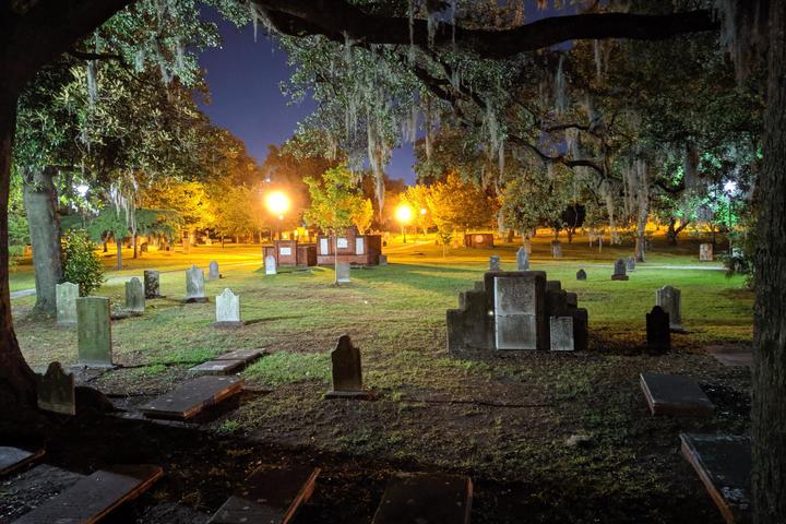 Dog Friendly Activities In Savannah Ga Bringfido