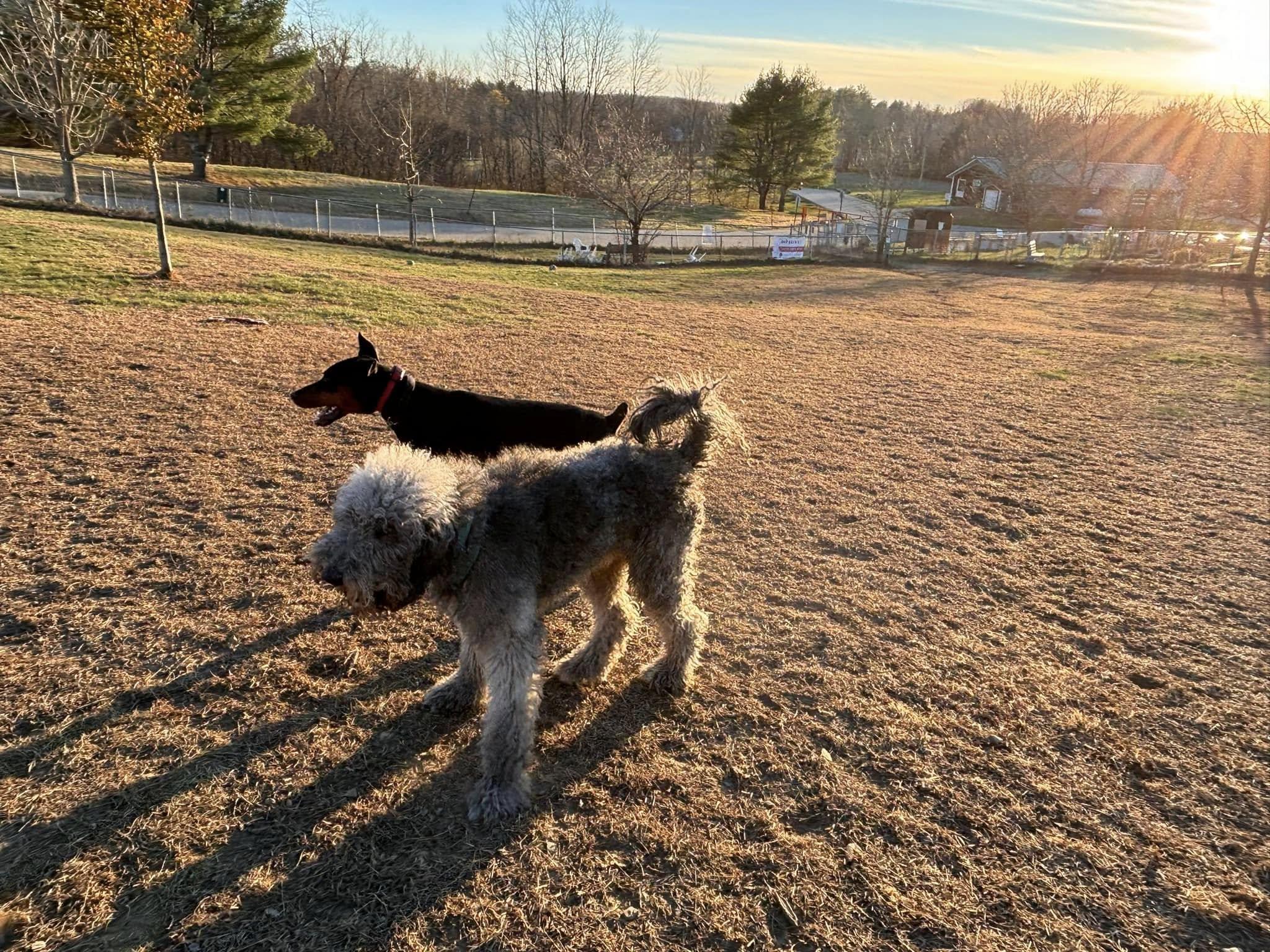 Pet Friendly Rotary Park - Dog Park