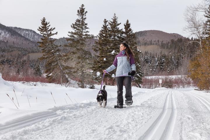 Pet Friendly Forillon National Park of Canada