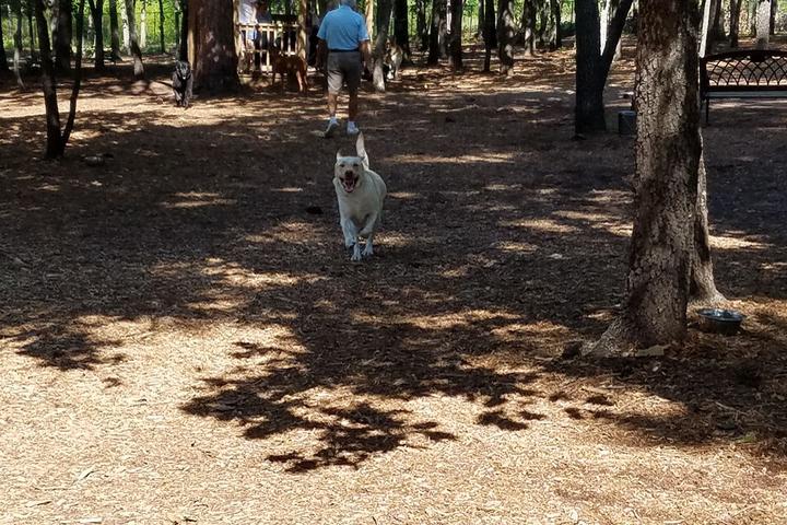 Pet Friendly MHS Pooch Park in the Pines