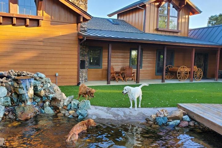 Pet Friendly Dog & Pony Ranch