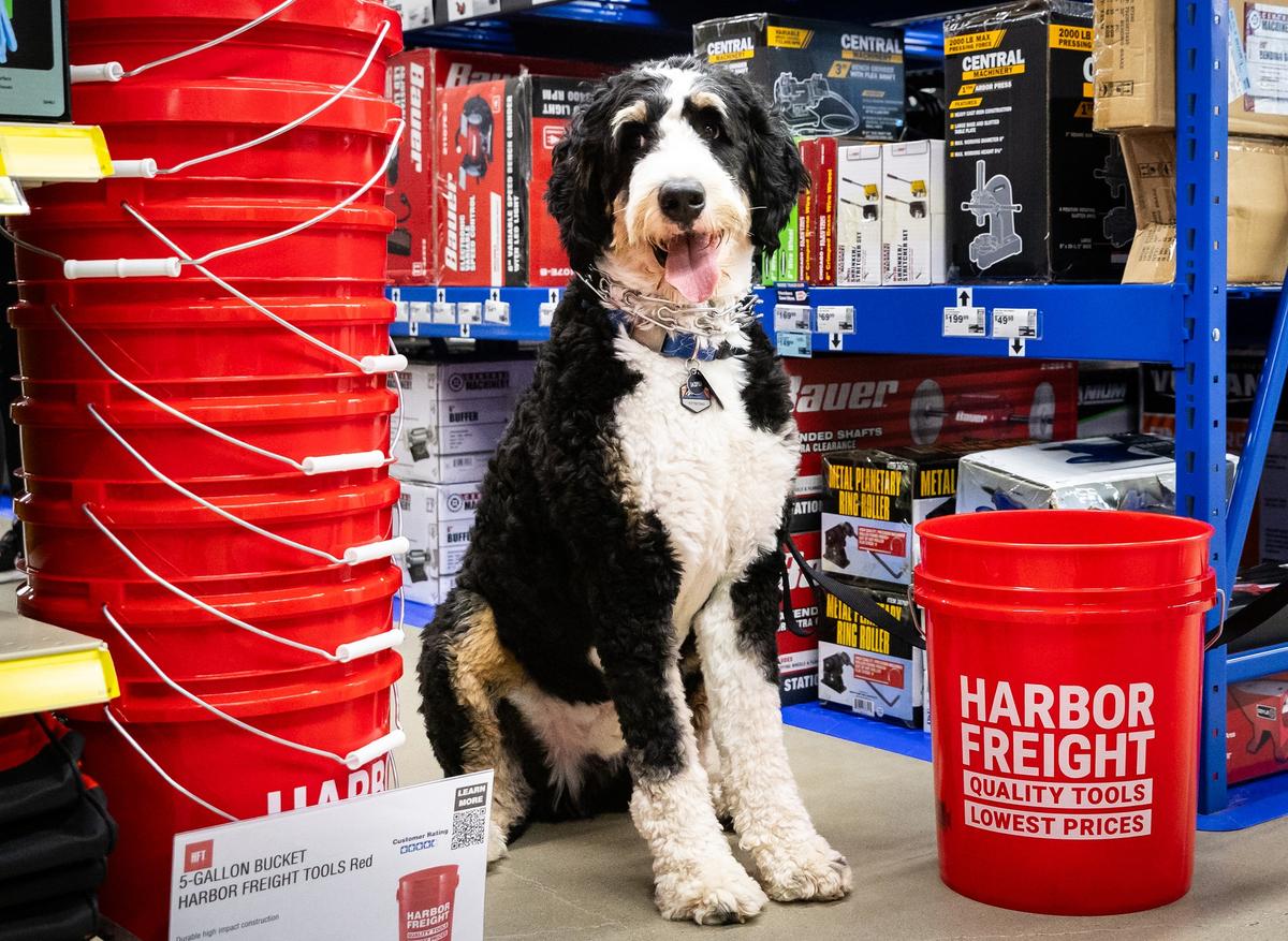 Harbor Freight Tools Mankato