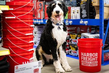 Harbor Freight Tools Mankato