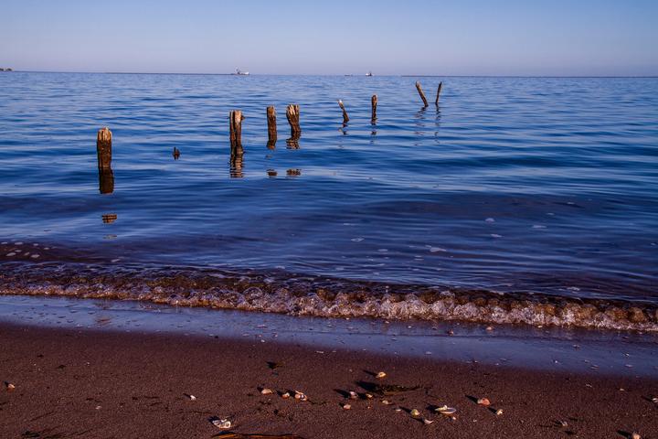 Dog Friendly Beaches in New Haven, CT BringFido Dog Friendly Beaches in New Haven, CT BringFido
