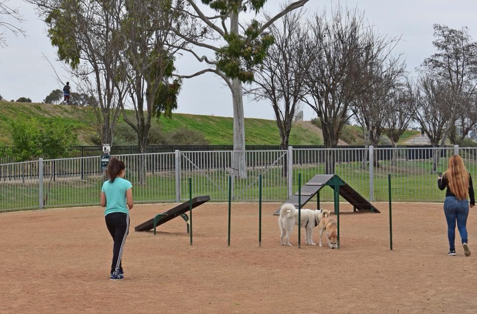 Pet Friendly South Gate Dog Park at Hollydale Regional Park