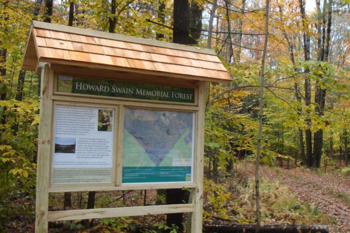 Pet Friendly Howard Swain Memorial Forest