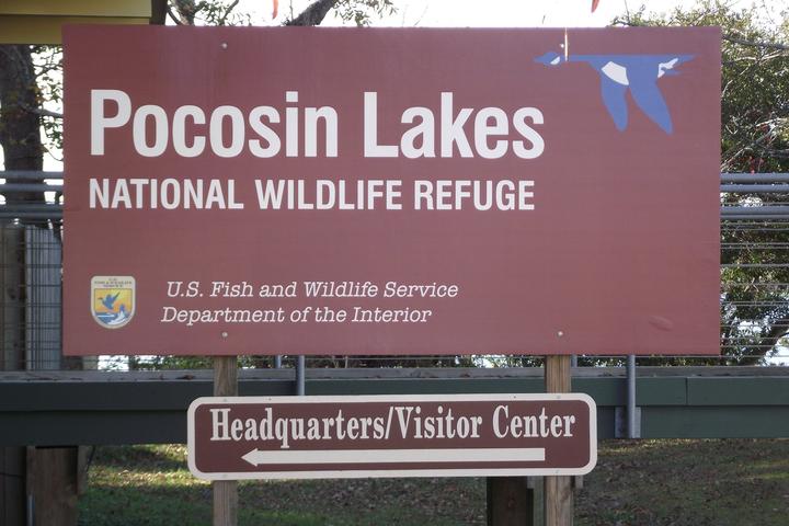 Pet Friendly Pocosin Lakes National Wildlife Refuge