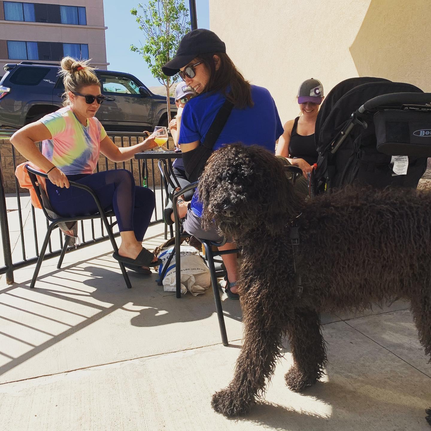 Pet Friendly Over Yonder Brewing Company