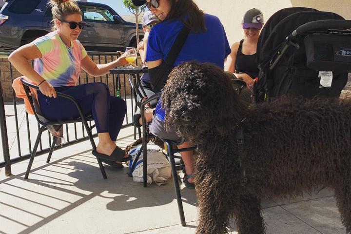 Pet Friendly Over Yonder Brewing Company