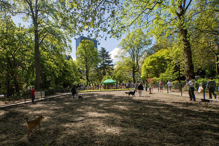 Pet Friendly Denny Park Off-Leash Area