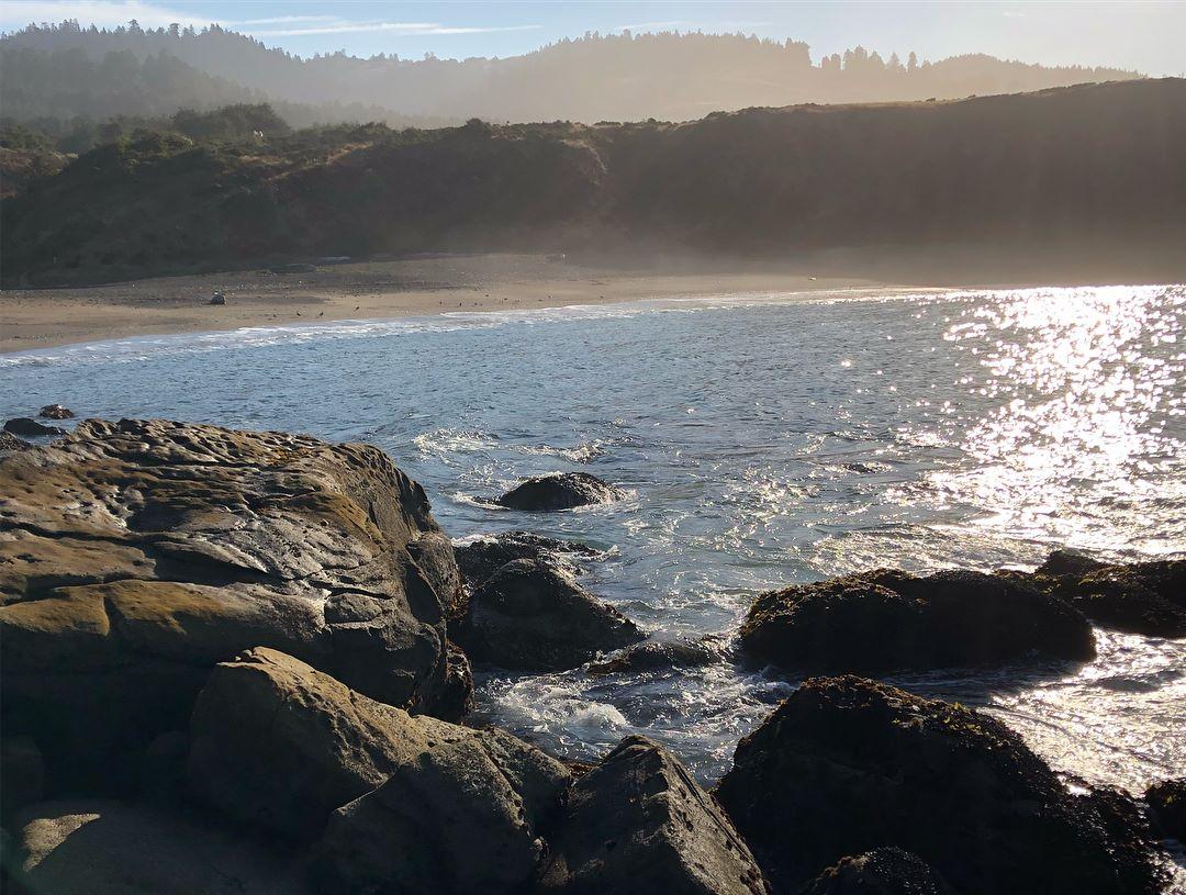 Are Dogs Allowed At Fort Ross
