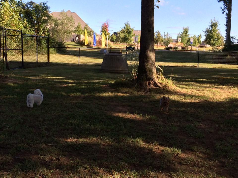 Mill Creek Dog Park