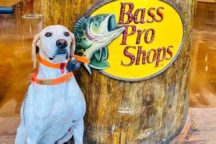Pet Friendly Bass Pro Shops