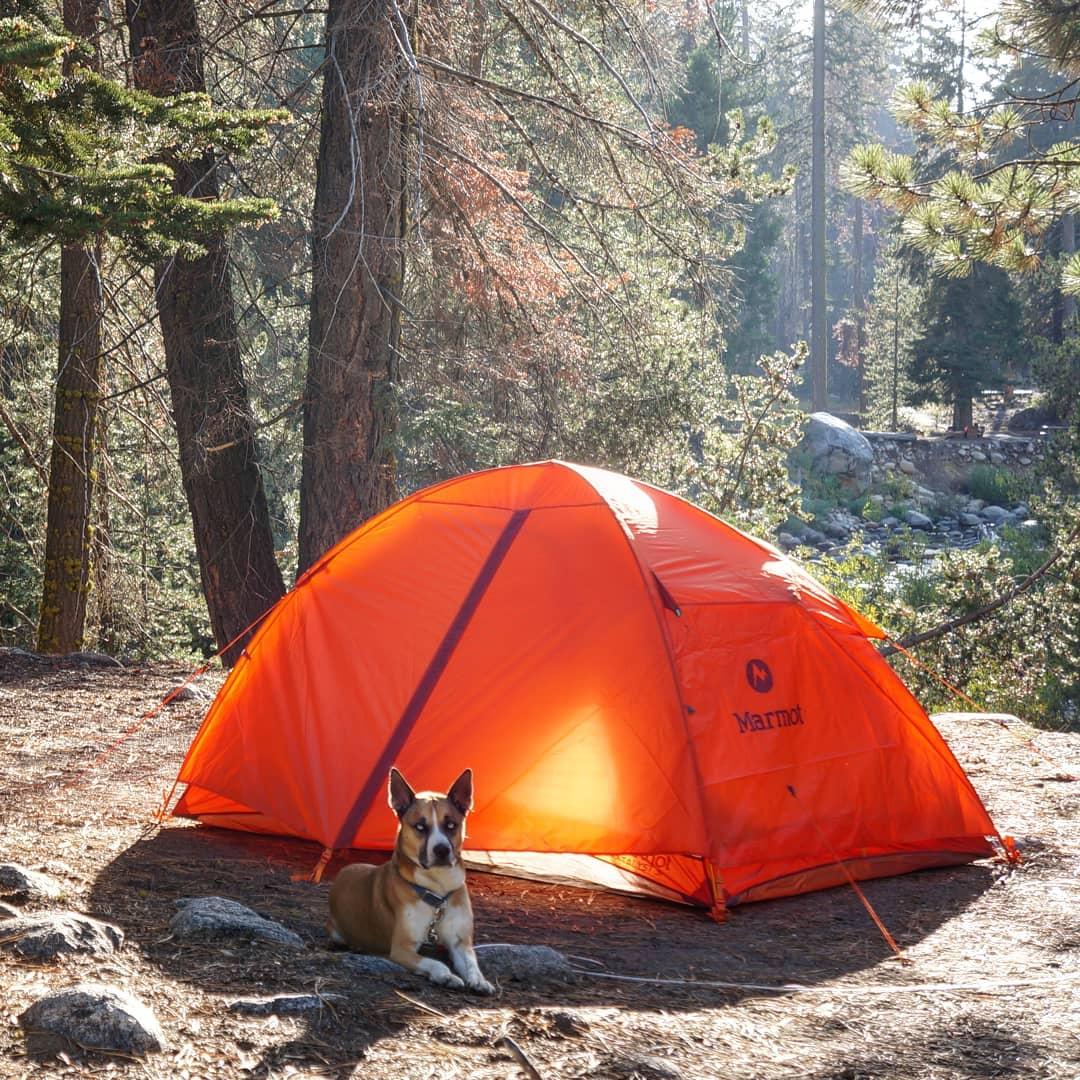Pet Friendly Sequoia National Forest