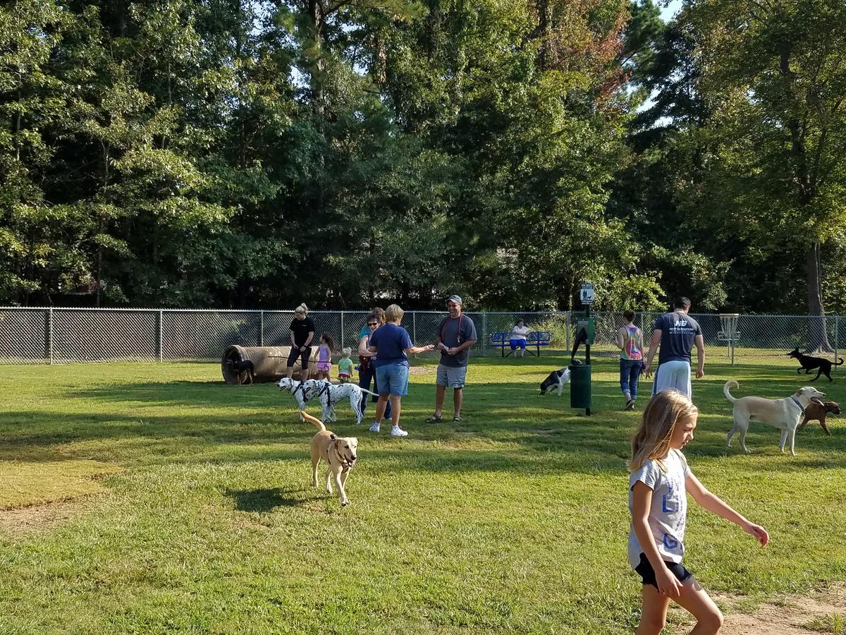 Cabot Dog Park at Community Pond Park